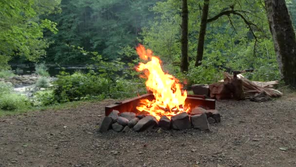 美国俄勒冈州西北荒野州立公园营地的火坑中燃烧着巨大的篝火 — 图库视频影像