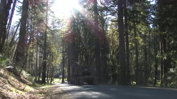 Leerer Holztransporter Fährt Die Forststraße Pazifischen Nordwesten Von Oregon Hinunter — Stockvideo