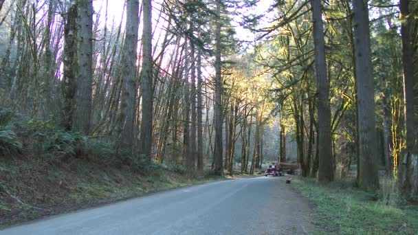 俄勒冈州西北太平洋 一辆载满新鲜砍伐木材的伐木卡车驶向森林路 — 图库视频影像