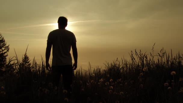 Silhouetted Człowiek Stojący Wysokim Trawiastym Polu Ciepły Słoneczny Dzień — Wideo stockowe