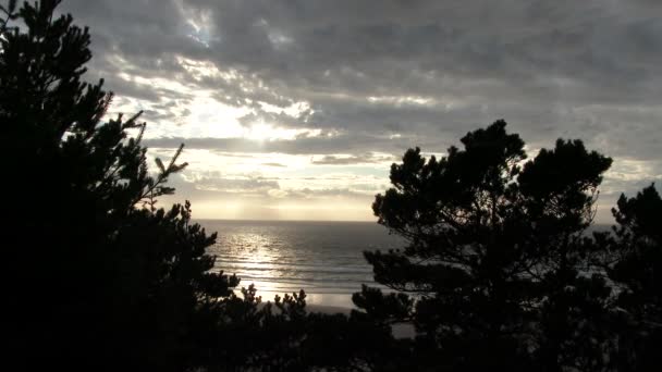 在俄勒冈州海岸的太平洋上空 夕阳西下 望着针叶树之间 — 图库视频影像