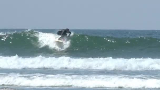 Surfista Traje Neopreno Cogiendo Ola Frente Costa Oregon — Vídeo de stock