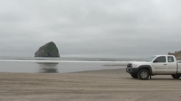 Persone Che Guidano Camioncino Bianco Sulla Spiaggia Sabbiosa Pacific City — Video Stock