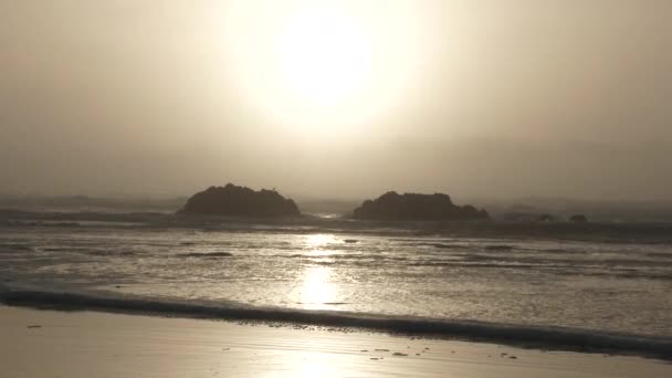 Ocean Tide Washes Sandy Beach Oregon Coast Birds Flying Sunset — Stock Video