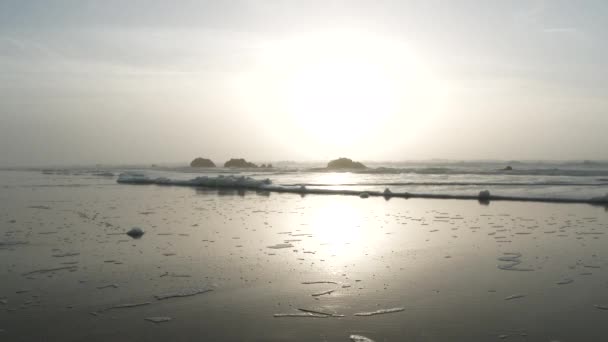 Air Dengan Lembut Terdampar Pantai Oregon — Stok Video