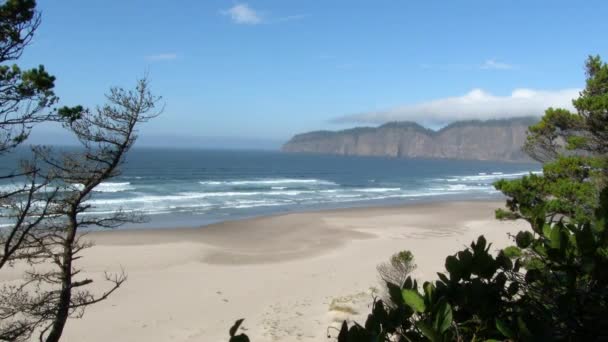 Sandy Όρμο Στο Cape Lookout Χωρίς Ανθρώπους Στην Ακτή Του — Αρχείο Βίντεο
