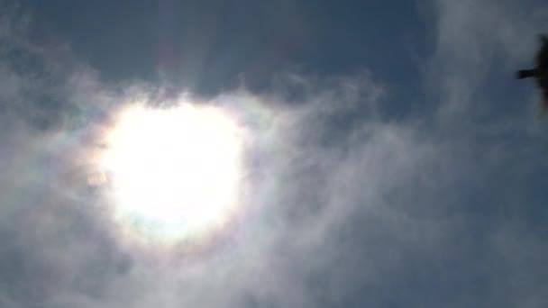 Gaviotas Volando Través Del Cielo Brillante Soleado Con Nubes Pasando — Vídeo de stock