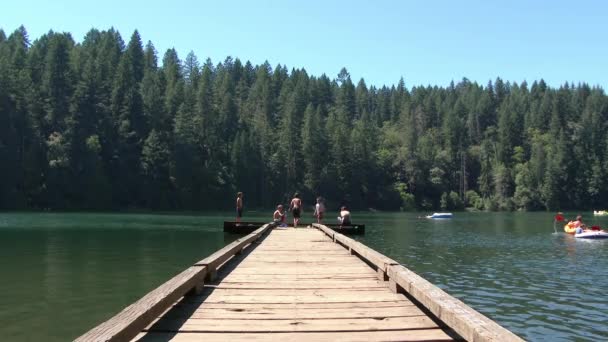 Grupo Niños Pequeños Muelle Madera Refrescan Lago Washington Caluroso Día — Vídeo de stock