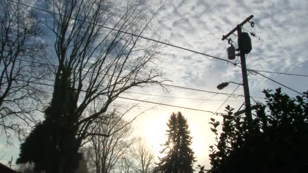 Сонце Встановлюється Похмуру Туманну Ніч Сусідству Лініями Електропередач Деревами — стокове відео