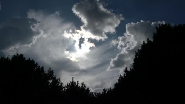 Zeitraffer Der Sonne Scheint Als Sturmwolken Über Die Baumgrenze Portland — Stockvideo