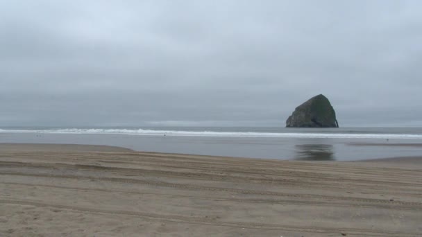Surfistas Camioneta Roja Conduciendo Playa Costa Noroeste Del Pacífico Oregon — Vídeo de stock