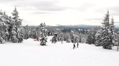 Kayakçılar Oregon 'daki Hood Dağı' nda Timberline 'ın yamaçlarından aşağı kayıyorlar..