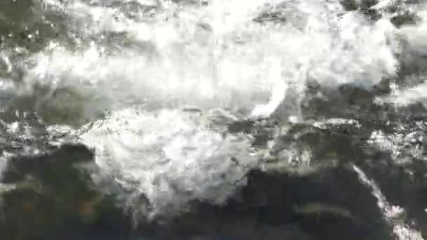 Крупним Планом Прісної Води Тече Річці Кадрів Секунду — стокове відео
