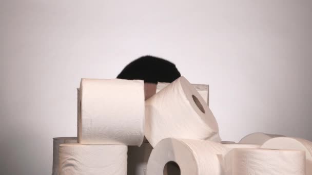 Homme Sournois Studio Apparaît Derrière Une Pile Rouleaux Papier Toilette — Video