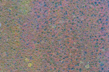 Paslı metalin dokusu yosun ve liken ile kaplıdır.