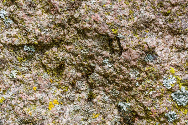 Lichen en mossy textuur patroon achtergrond op een rots — Stockfoto