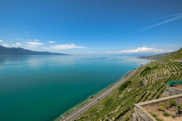 Pohled na vinařství Lavaux a Ženevské jezero ve směru na Lausanne, Švýcarsko — Stock fotografie