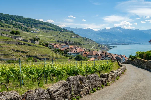 Visa på en liten vingård by som heter Rivaz, Lavaux Schweiz — Stockfoto