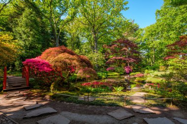 Bahar mevsiminde güzel geleneksel Japon bahçesi, Clingendael Park, Lahey, Hollanda