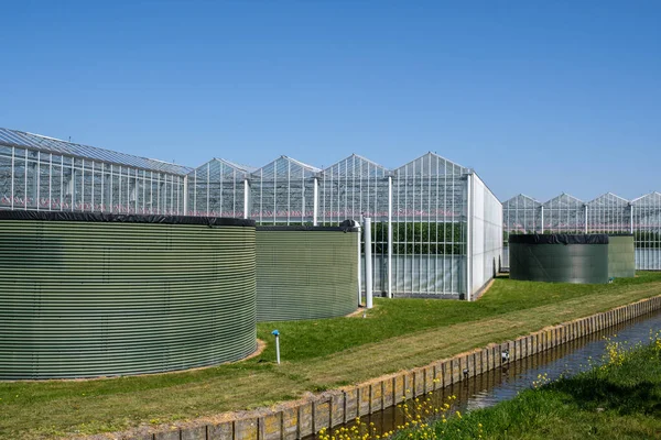Näkökulma Moderni Korkean Teknologian Teollisuuden Kasvihuone Tomaatit Vesisäiliöt Edessä Westlandissa — kuvapankkivalokuva