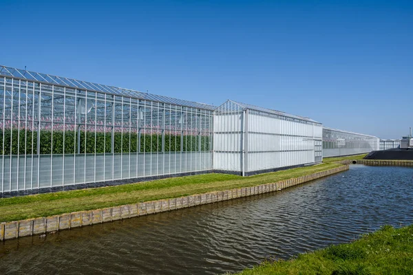 Perspective view of a modern high tech industrial greenhouse for tomatoes in the Westland, the Netherlands. Westland is a region in of the Netherlands.