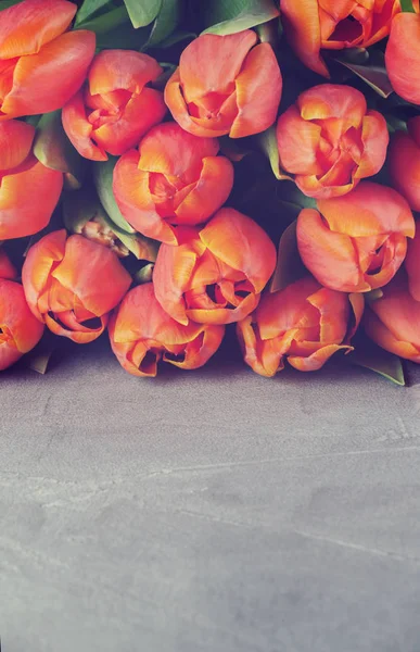 Tulipes sur fond de pierre — Photo