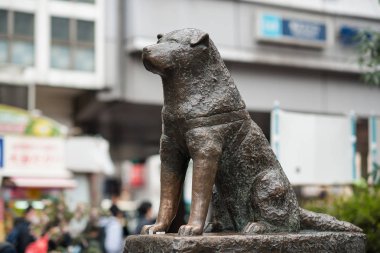 Tokyo, Japonya - Mart, 2017 yaklaşık: Hachiko köpek heykeli. Hachiko onun sahibinin ölümünden sonra uzun yıllar devam onun sahip olağanüstü sadakatı için hatırlandı. 