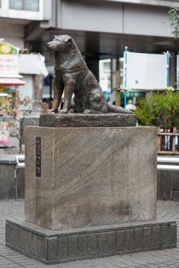 Tokyo, Japonya - Mart, 2017 yaklaşık: Hachiko köpek heykeli. Hachiko onun sahibinin ölümünden sonra uzun yıllar devam onun sahip olağanüstü sadakatı için hatırlandı. 