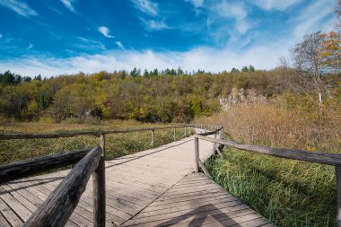 Ahşap yolu içinde Plitvice Gölleri Milli Parkı. Hırvatistan. Europe.