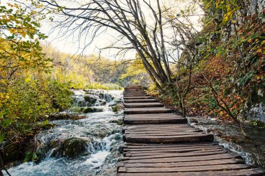 Ahşap yolu doğal parlama içinde Plitvice Gölleri Milli Parkı ile. Hırvatistan. Europe.