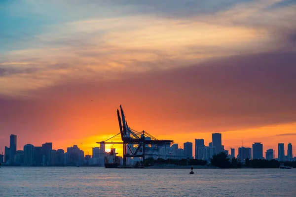 Zachód Słońca Sceny Miami Port Bay South Pointe Park Florida — Zdjęcie stockowe