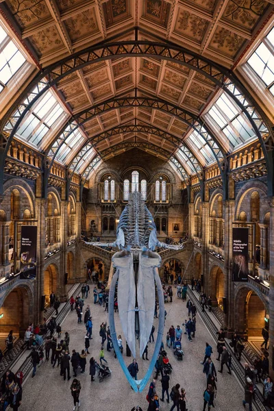 London Circa January 2018 Interior View Natural History Museum New — Stock Photo, Image