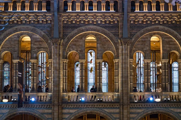 Londra Circa Gennaio 2018 Veduta Interna Del Museo Storia Naturale — Foto Stock