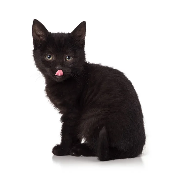 Kis Fekete Cica Elszigetelt Fehér Background — Stock Fotó
