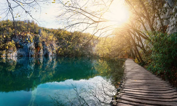 Sendero Madera Con Bengalas Naturales Dentro Del Parque Nacional Los — Foto de Stock