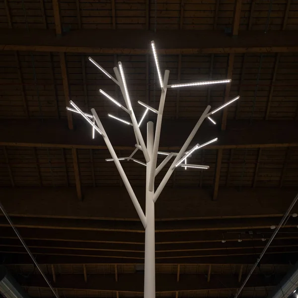 Bologna Italia Circa Diciembre 2017 Árbol Luz Interior Fico Eataly — Foto de Stock