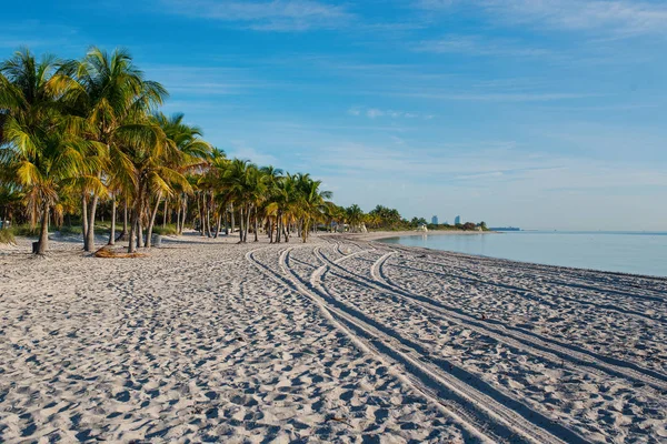 Pláž Crandon Park Slunečný Den Key Biscayne Miami Florida — Stock fotografie