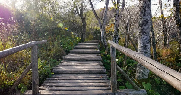 Houten Pad Met Natuurlijke Flare Binnen Het Nationaal Park Plitvice — Stockfoto