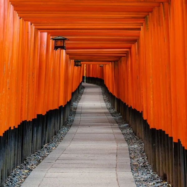 Fushimi Inari Tapınak Veya Fushimi Inari Taisha Şinto Tapınak Vermilyon — Stok fotoğraf