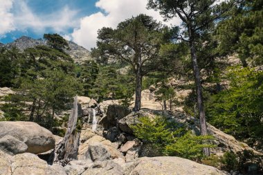 Art arda sıralı des Anglais şelale ve kristal berraklığında havuz Vizzavona Corsica, Fransa için yakınındaki Gr20 izinde. 