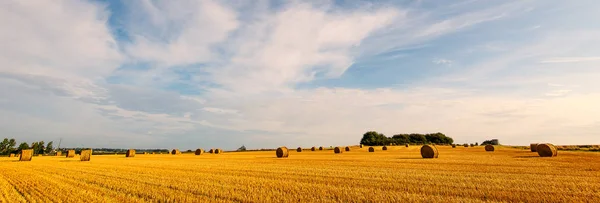 Panoramisch Gebied Van Maïs Met Oude Dorp Van Mont Saint — Stockfoto