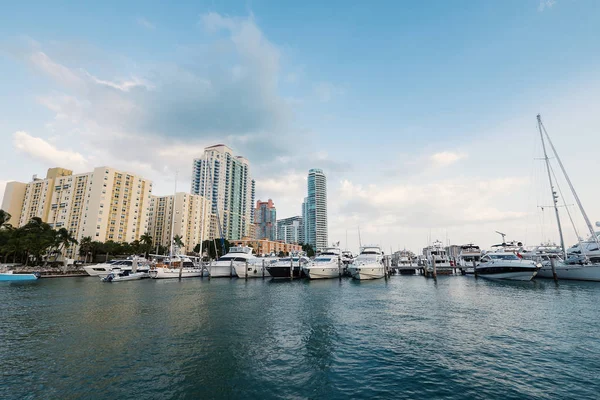 Miami Beach Usa Března 2016 Miami Beach Marina Budovy Pozadí — Stock fotografie