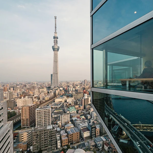 Tokyo Japan März 2017 Tokyo Skyline Von Der Asahi Gebäudebeobachtung — Stockfoto