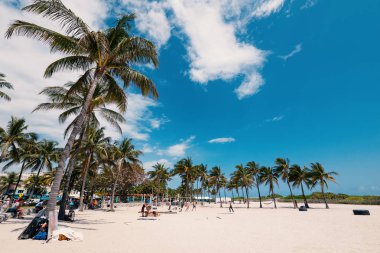 Fitness ve South Beach excercising yapan insanlar. Miami, Florida. 