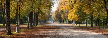 Ducale Park - kestane ağaçları ile sonbahar görünümü. Parma, İtalya - Emilia-Romagna bölgesinin. 