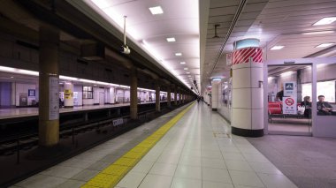 TOKYO, JAPONYAN - CIRCA MARCH, 2017: Narita Express (NEX) platformu. Narita Express, Tokyo 'nun çeşitli büyük istasyonlarından Narita Uluslararası Havaalanı' na hizmet veren bir ekspres tren..