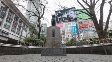 TOKYO, JAPAN - CIRCA MARCH, 2017: Hachiko dog statue. Hachiko was remembered for his remarkable loyalty to his owner which continued for many years after his owner's death. Time lapse footage.  clipart