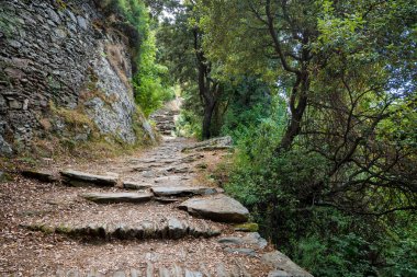 Yol Nonza beach Corsica, Fransa için gelen ahşap. 