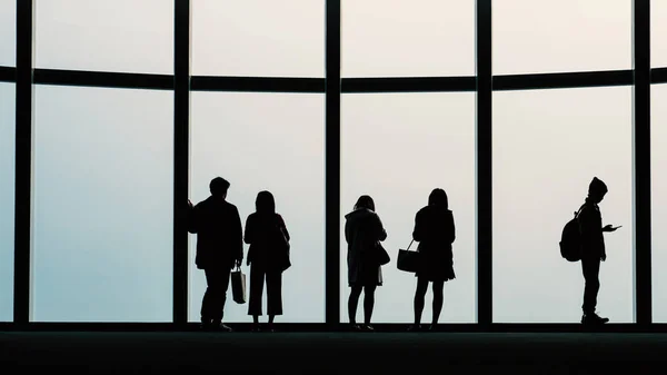 Silhouette Des Gens Sur Pont Observation — Photo