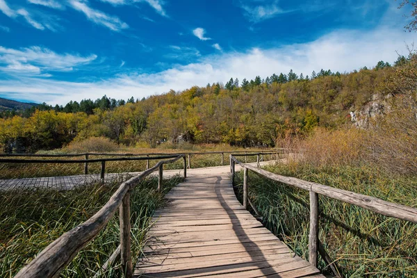 Caminho Madeira Dentro Parque Nacional Dos Lagos Plitvice Croácia Europa — Fotografia de Stock